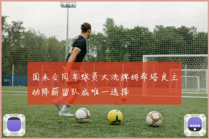 国米合同年球员大洗牌姆希塔良主动降薪留队成唯一选择